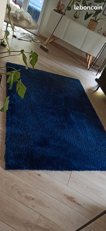 Tapis bleu (image 1)