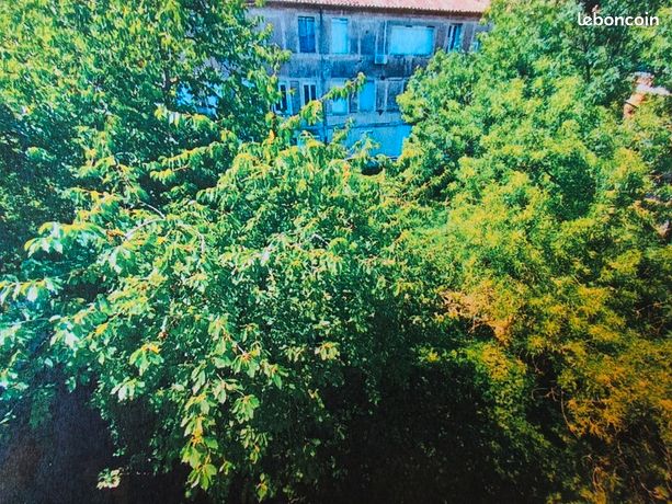 Appartement 3 pièces 55 m²