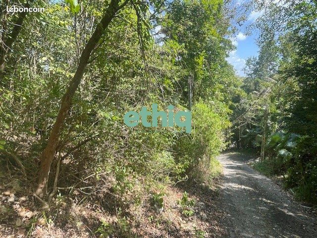 Terrain 2000 m² · à Le Gosier · 2 000 m² · 258 940 €
