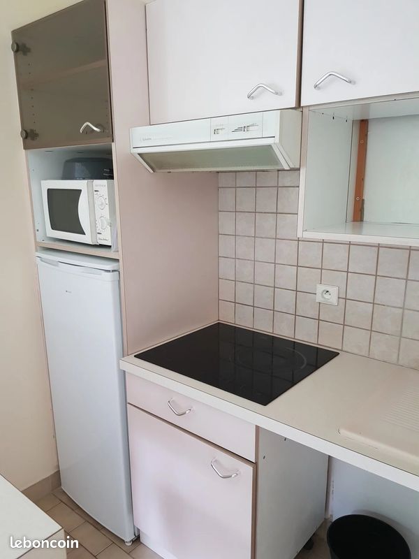 Appartement a louer fontenay-aux-roses - 1 pièce(s) - 30 m2 - Surfyn