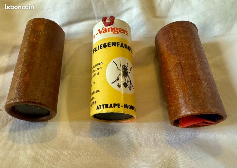 ANCIENNE BOITE À Insectes ou Autres ! EUR 42,00 - PicClick FR