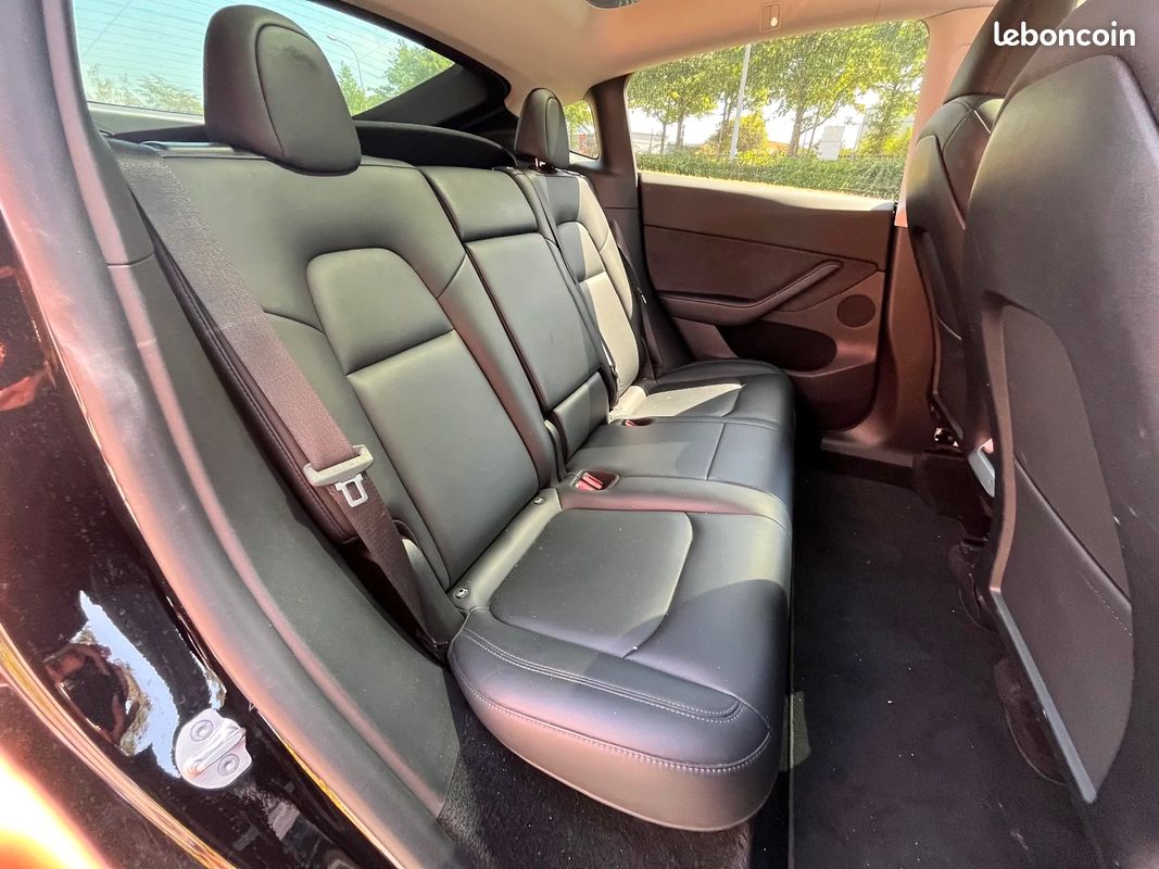 TESLA MODEL Y Standard RWD (image 24)