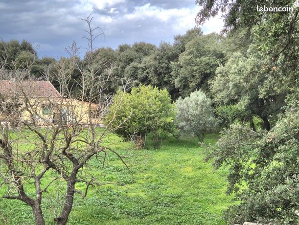 Terrain 445 m² Plan D Orgon