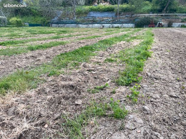 Terrain 1 455 m² Bourg
