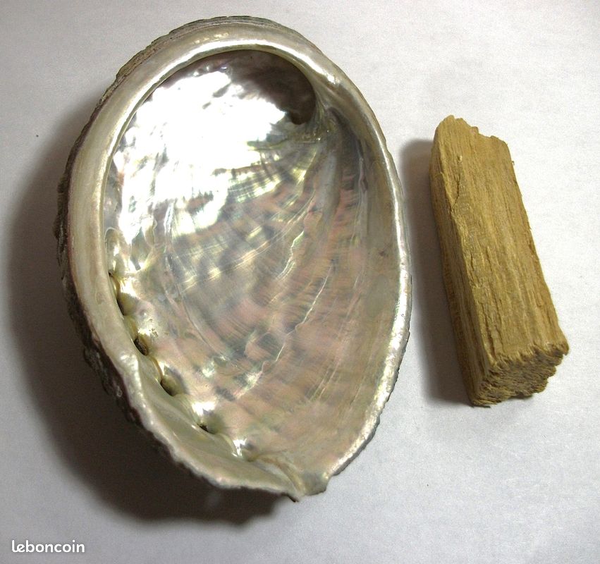Pack Palo santo et Abalone (image 3)