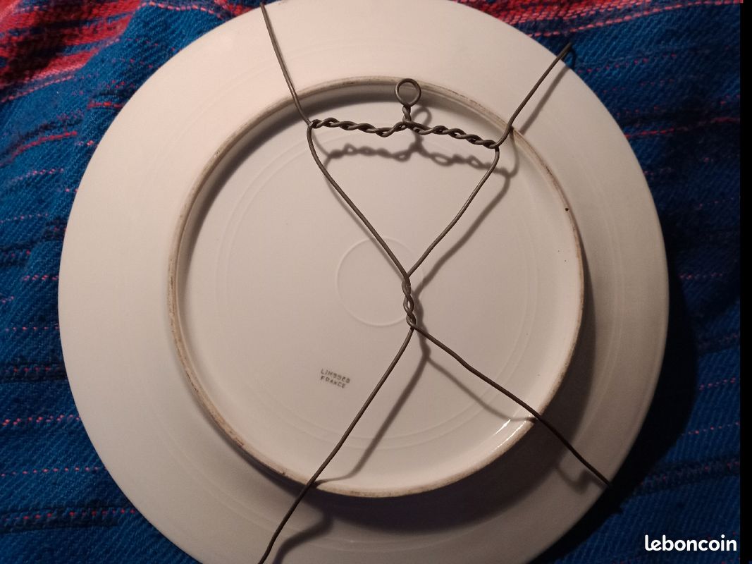 Superbes assiettes fleurie Limoges (image 8)