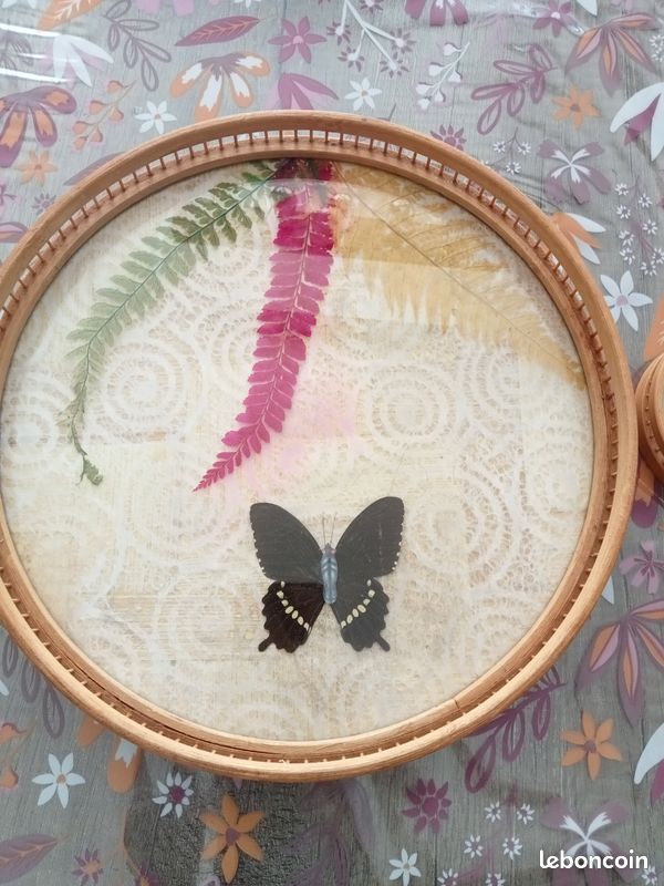 Plateau vintage papillon (image 3)