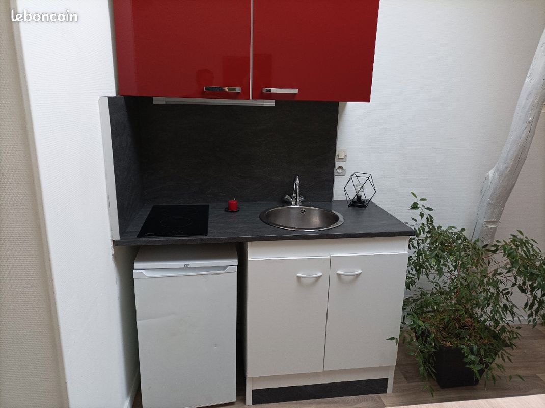 STUDIO A LOUER 25m2 - Limoges 87000 Centre-Hôtel de Ville Emailleurs (image principale 1)