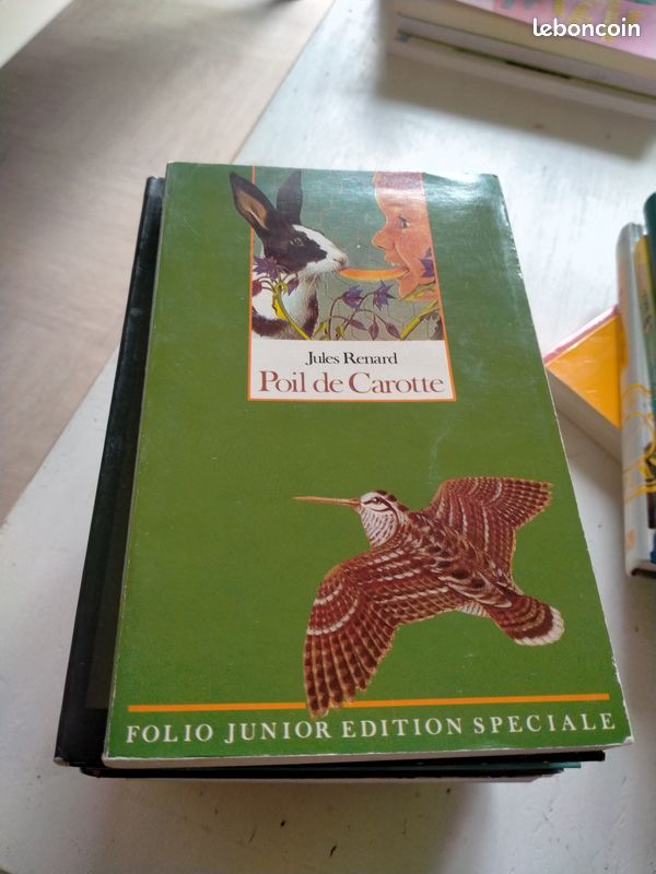 Poil de carotte (image 1)