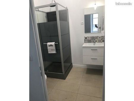 Appartement 1 pièce 20 m² - Limoges 87000 (image principale 2)