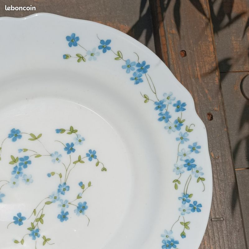 Lot de 2 Anciennes assiettes ARCOPAL Vintage 1950-1960 (image 3)