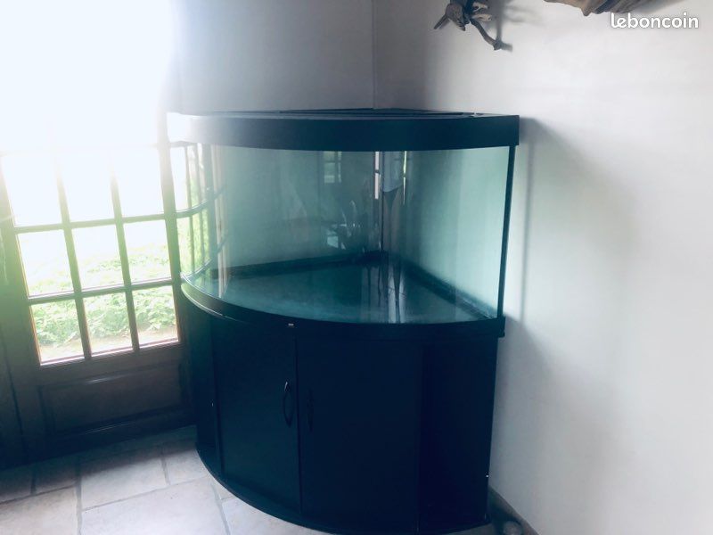 Acquarium (image 2)