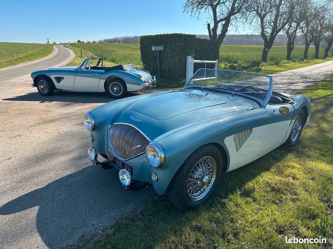 Austin healey BN2 (image 2)