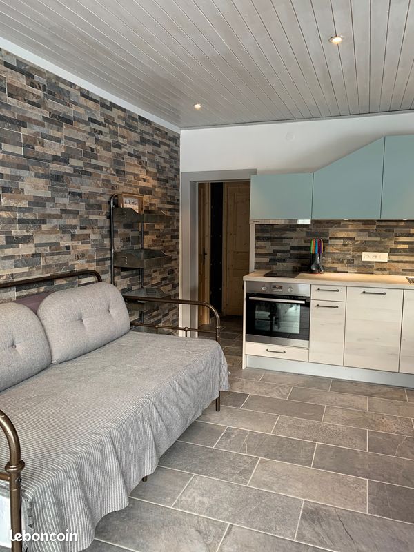 Disponible été & Hiver : Rez-de-jardin 2 pièces 1/2/3 pers à Châtel (image 5)