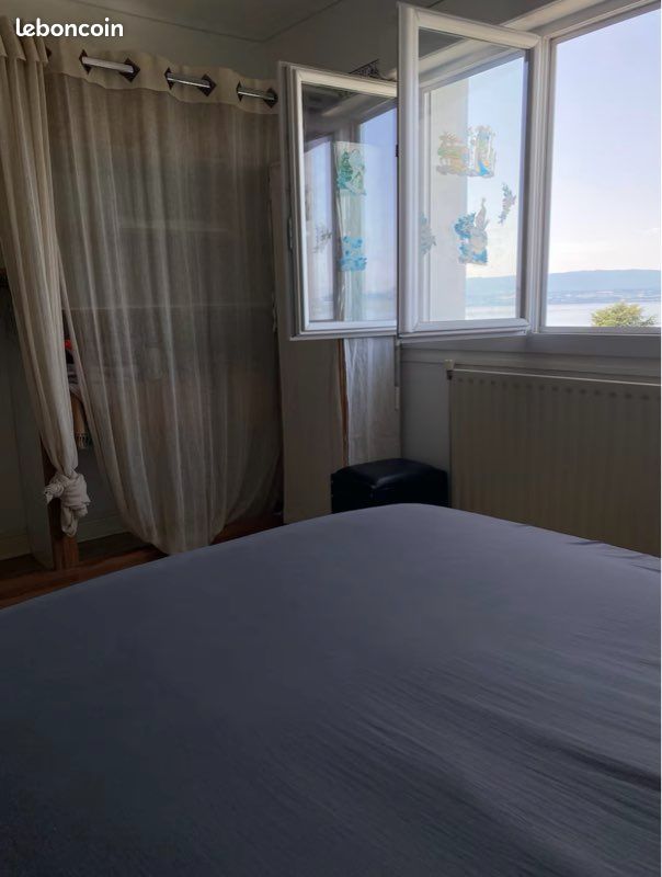 Appartement vue sur Lac Léman - idéale longue durée (image 12)