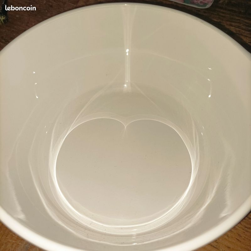 Cocotte pyroflam electro made in Netherlands (image 4)