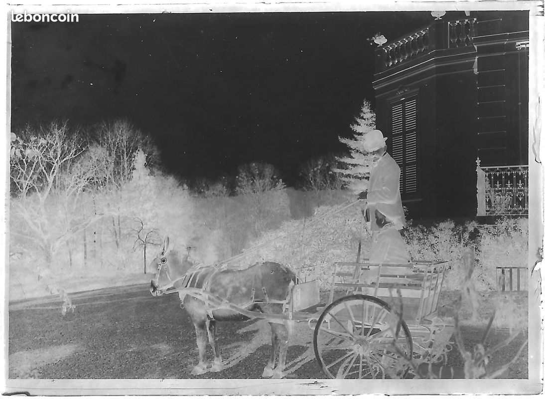 Bailly, Luchon, campagne, photos plaque de verre, lot de 10 négatifs 6x9 cm (image 2)