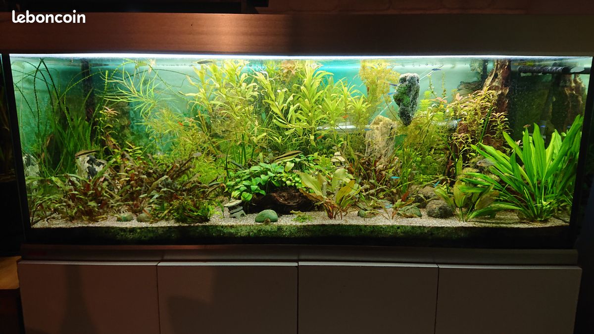Aquarium Eheim Proxima 325 Litres (image 1)