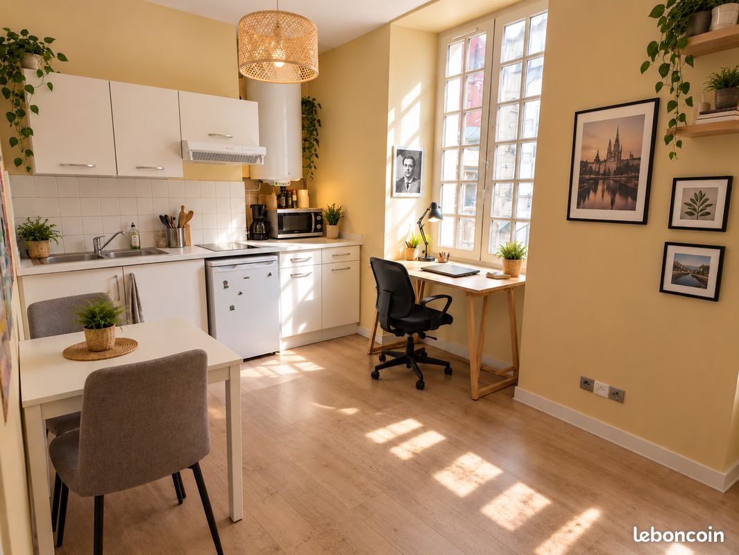 Appartement 1 pièce 21 m² · à Laval · 21 m² · 370 €/mois