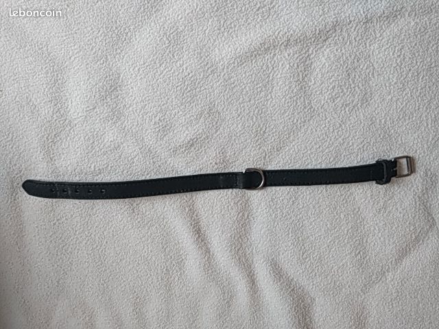 Collier pour chien (image 1)