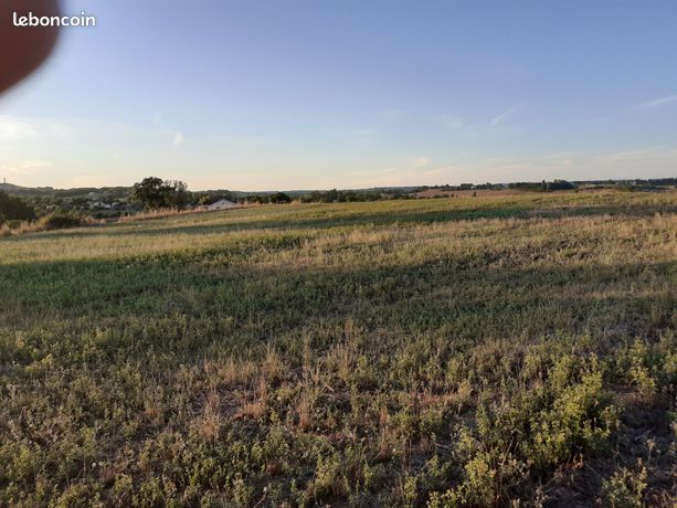 Terrain Agricole