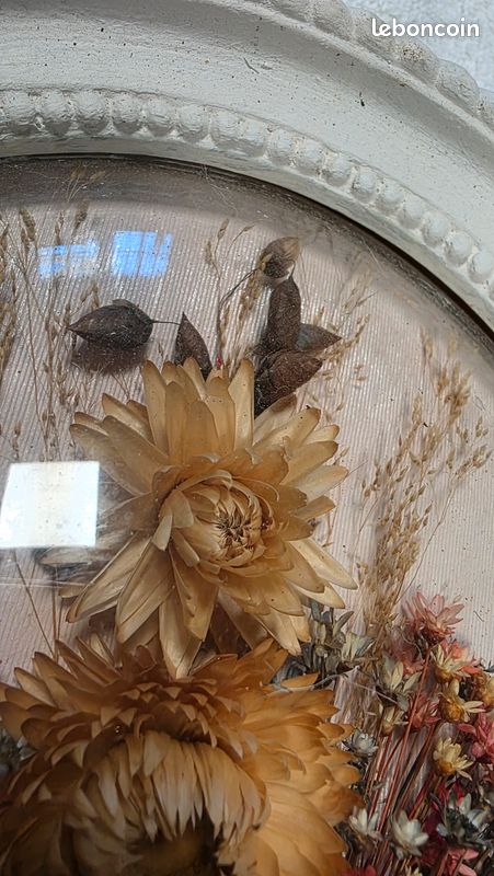 LOT ANCIEN CADRE Ovale X3 Fleurs Sechees Sous Verre Bombe Vintage Ruban