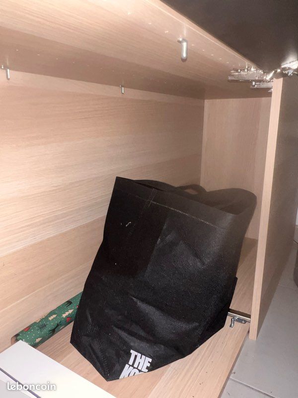 Meuble TV / Armoire BESTA IKEA (image 9)