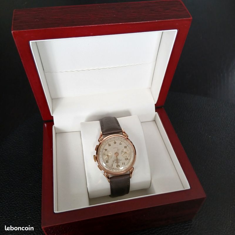 Montre zelus rubis suisse révision ok (image 6)