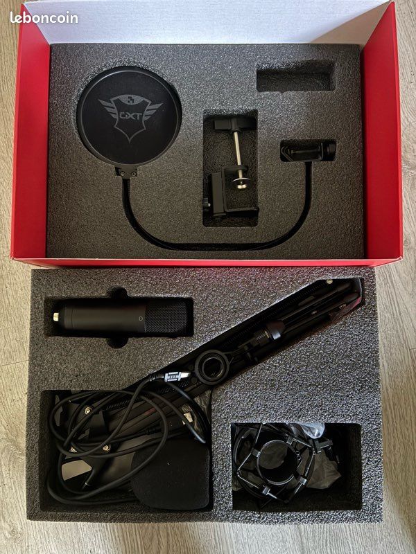 Microphone (image 2)