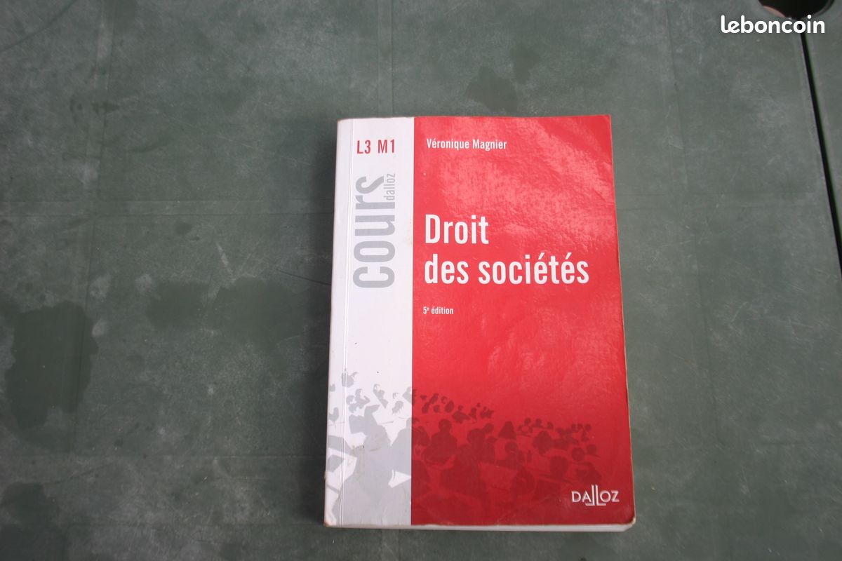 Droit des sociétés (image 1)
