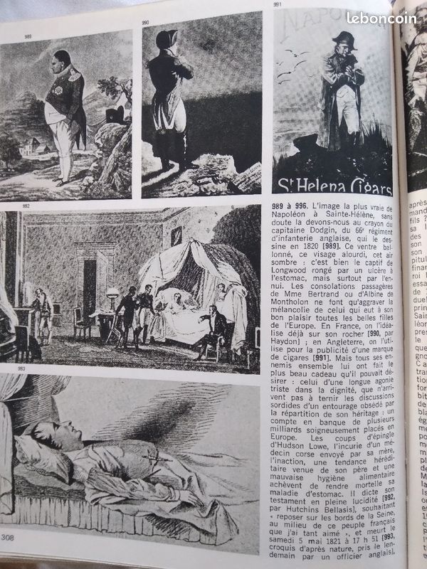 Napoleon (image 6)