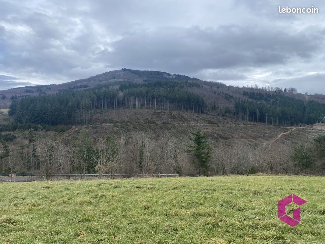 Terrain 6098 m² · à Vollore-Ville · 6 098 m² · 60 000 €