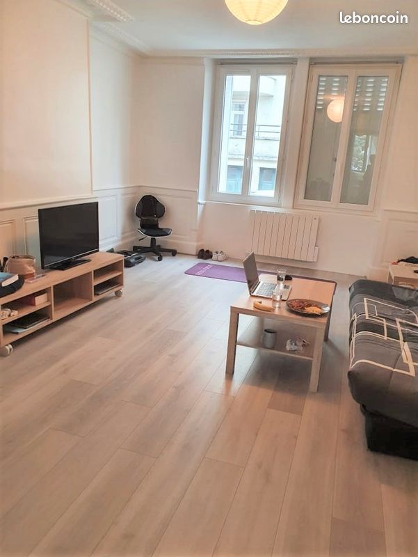 2 pièces meublés/internet fibre MAIRIE-FAC DE DROIT - Limoges 87000 Centre-Hôtel de Ville Emailleurs (image principale 2)