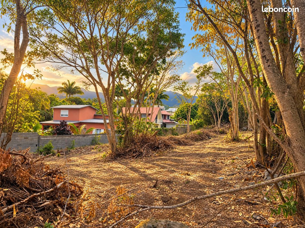 Terrain 325 m² · à Entre-Deux · 325 m² · 128 000 €