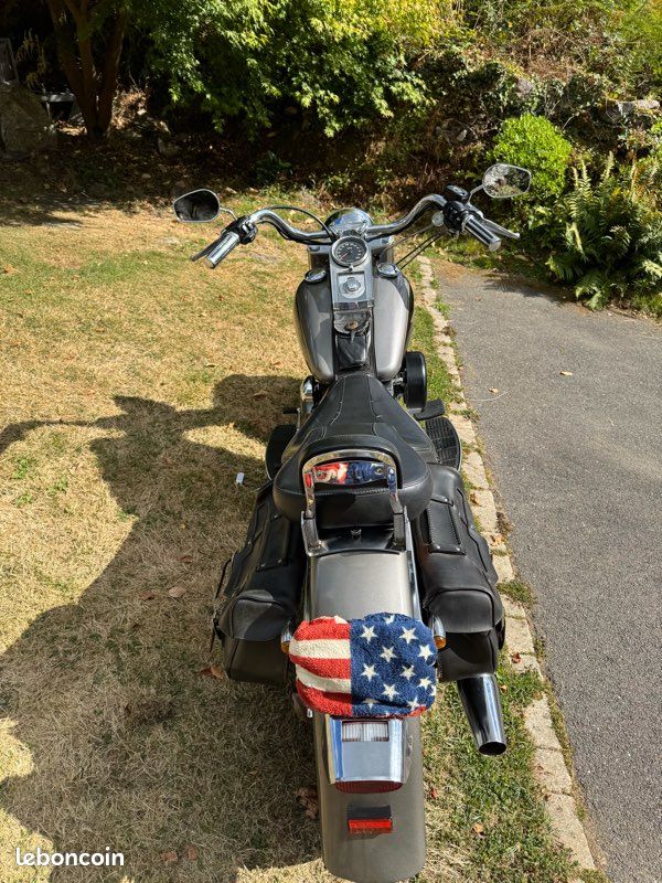 Harley Davidson (image 3)