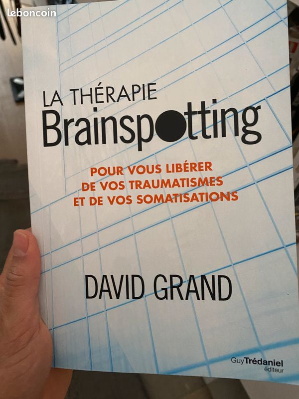 La therapie brainspottin David grand (image 1)