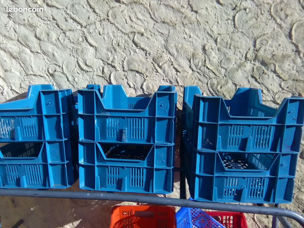 Idena 6109055 - Jeu De Dés Avec 6 Dés à Oeil, En Plastique, Colorés, Longueur Du Bord Env. 1,6 Cm, Pour Les Soirées Jeux Entre Amis Et En Famille