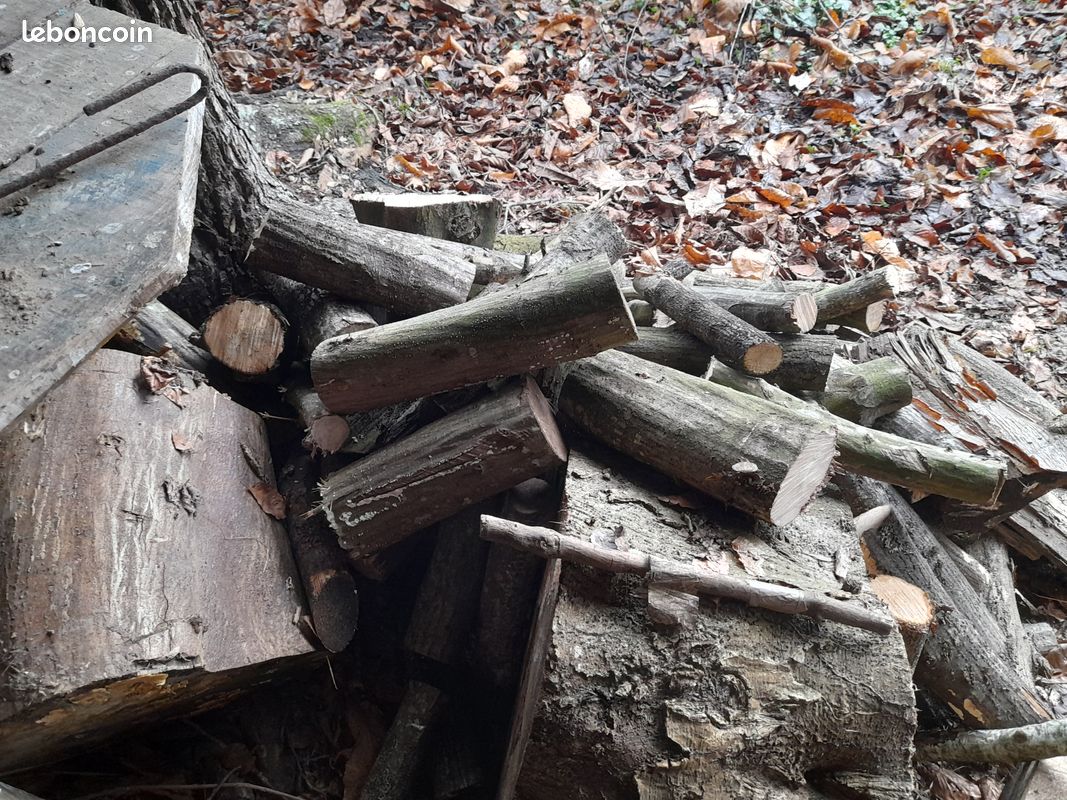 Bois chauffage 30, 35 cm (image 3)