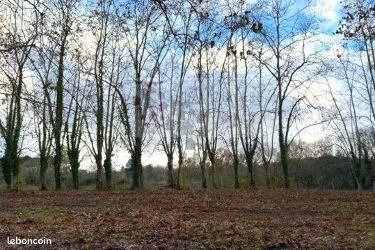 Terrain Martillac · 189 850 €