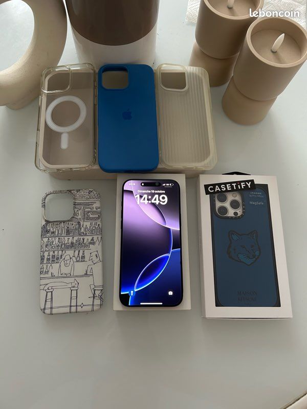 IPhone 16 Pro Max 256 Go Noir - État Neuf + 5 Coques (dont Maison Kitsuné x Casetify) – Sous Garantie (image 5)