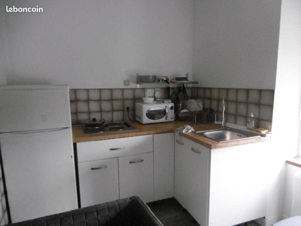 Appartement 1 pièce 29 m² - Limoges 87100 (image principale 3)
