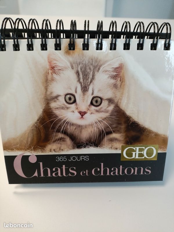 Calendrier perpetuel GEO chats et chatons (image 1)