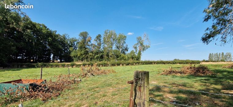 Parcelle de bois a vendre