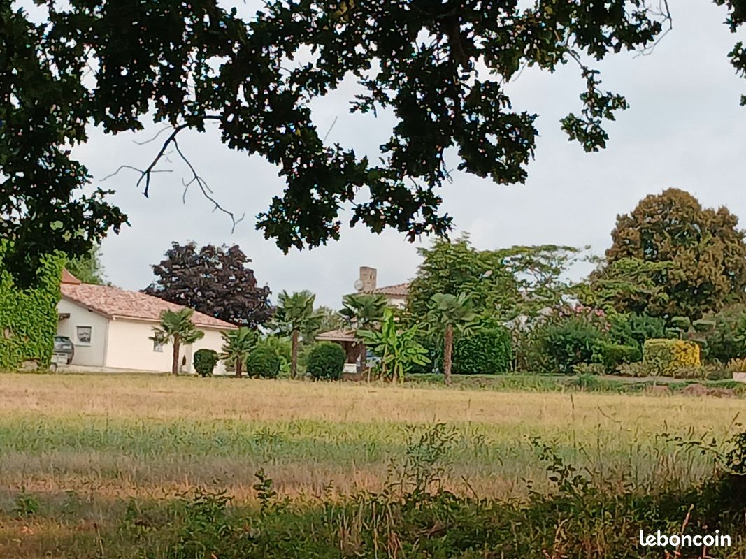 Ferme 3 logements (image 3)