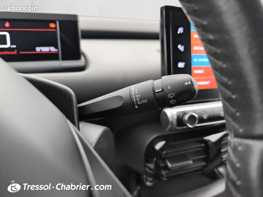 CITROEN C4 Cactus BlueHDi 100 S&S BVM6 Shine (image 22)