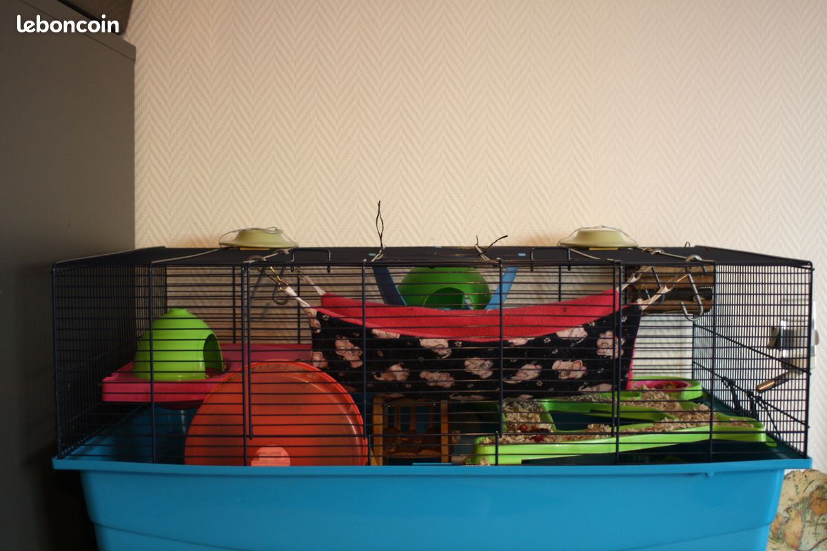 593baa9176843211290ed629d67132b3b511a086