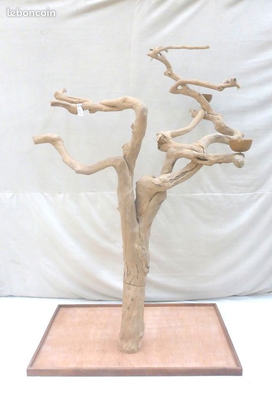 Arbre Java grand ara AIRE DE JEU PERROQUET arbre en bois de caféiers (image 4)