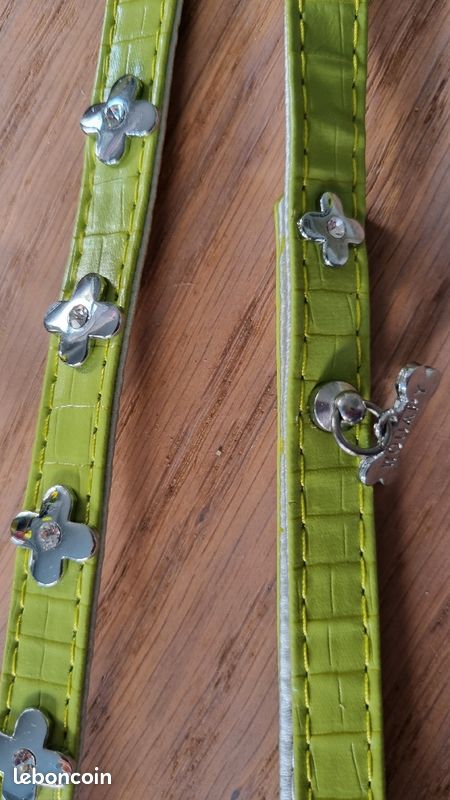 Collier et laisse neufs chien wouapy vert clair (image 1)
