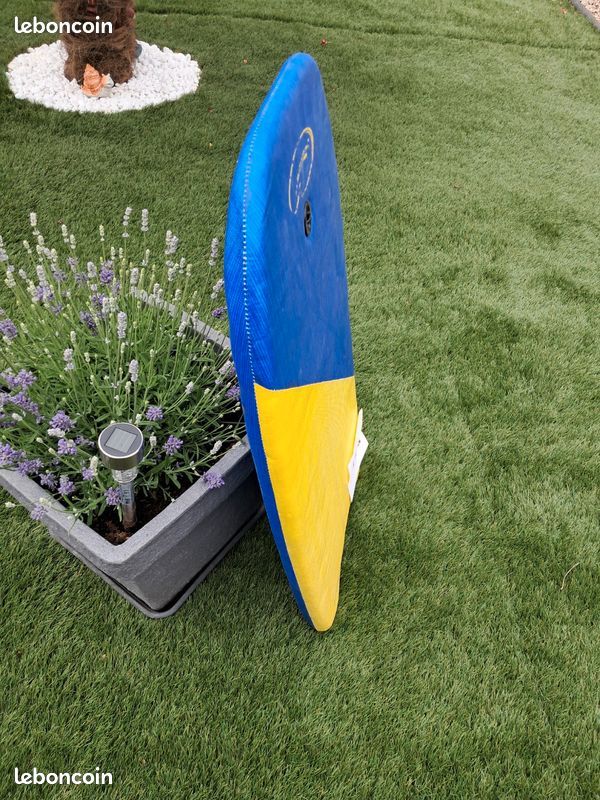 2 Planches de Surf- Spider Man Pour Enfant (image 10)