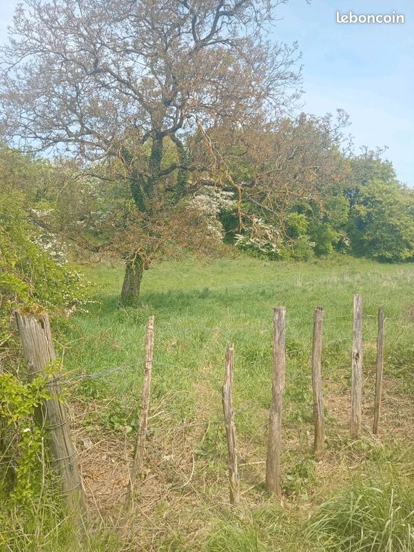 Terrain à vendre n · à Anse · 45 000 €